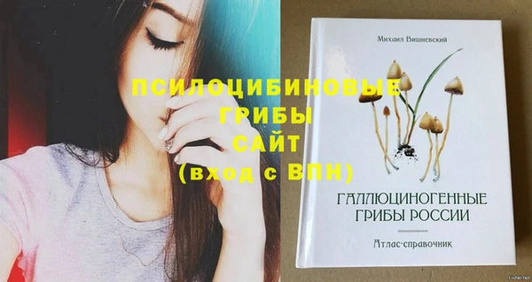 2c-b Абинск